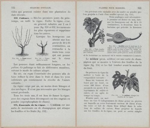 &nbsp;E694 - D'Agriculture - i6143-6144