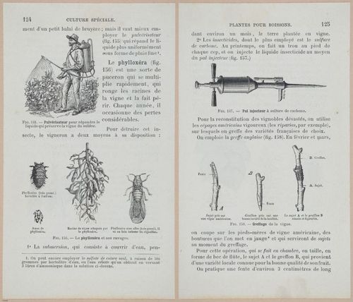 &nbsp;E694 - D'Agriculture - i6145-6146