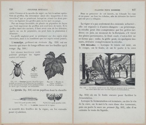 &nbsp;E694 - D'Agriculture - i6147-6148