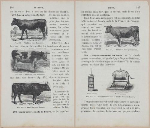 &nbsp;E694 - D'Agriculture - i6165-6166