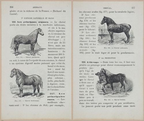 &nbsp;E694 - D'Agriculture - i6175-6176