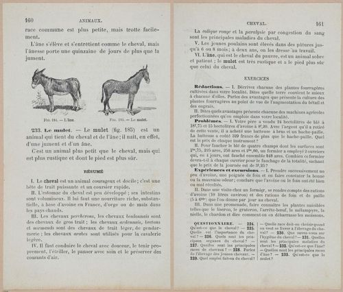 &nbsp;E694 - D'Agriculture - i6179-6180