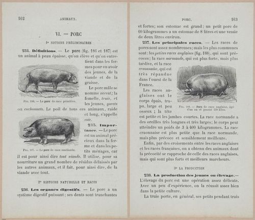 &nbsp;E694 - D'Agriculture - i6181-6182