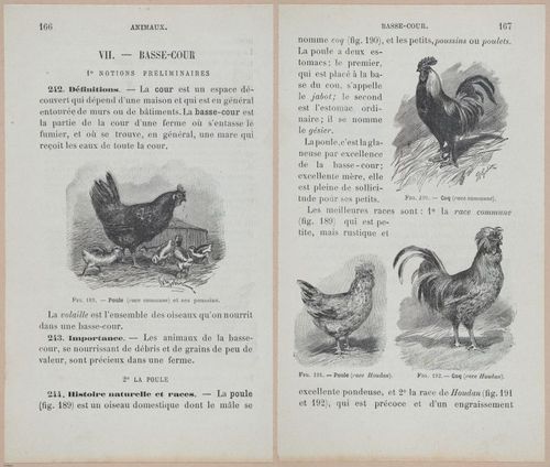 &nbsp;E694 - D'Agriculture - i6185-6186