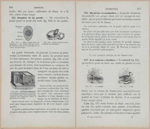 &nbsp;E694 - D'Agriculture - i6187-6188