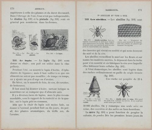 &nbsp;E694 - D'Agriculture - i6189-6190