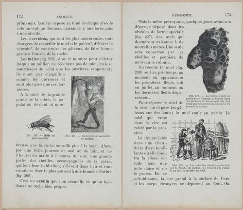 &nbsp;E694 - D'Agriculture - i6191-6192