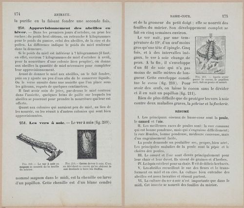&nbsp;E694 - D'Agriculture - i6193-6194