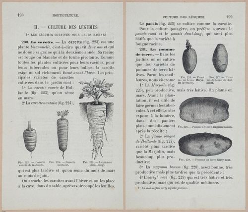 &nbsp;E694 - D'Agriculture - i6217-6218