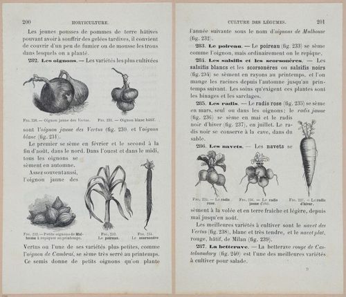 &nbsp;E694 - D'Agriculture - i6219-6220