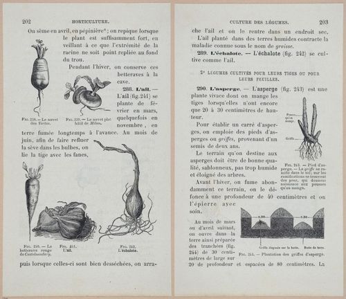 &nbsp;E694 - D'Agriculture - i6221-6222