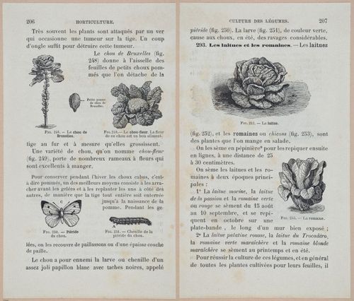 &nbsp;E694 - D'Agriculture - i6225-6226
