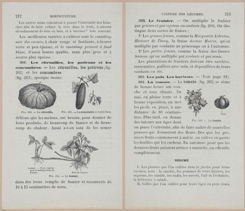 &nbsp;E694 - D'Agriculture - i6231-6232