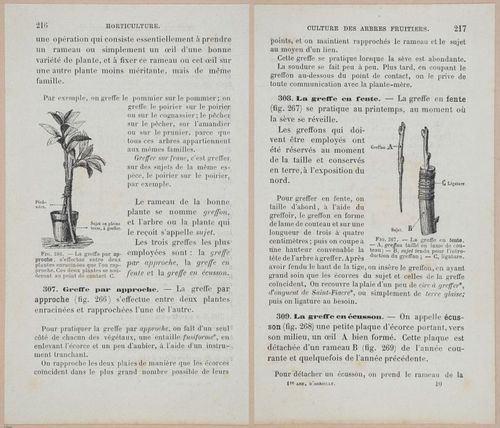 &nbsp;E694 - D'Agriculture - i6235-6236