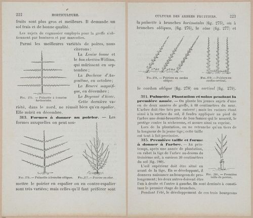 &nbsp;E694 - D'Agriculture - i6241-6242