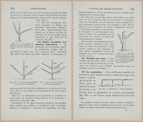 &nbsp;E694 - D'Agriculture - i6243-6244