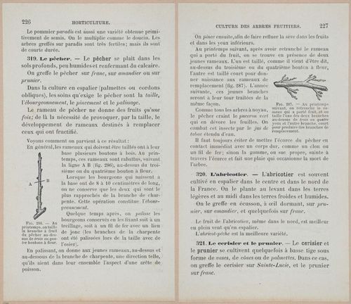 &nbsp;E694 - D'Agriculture - i6245-6246