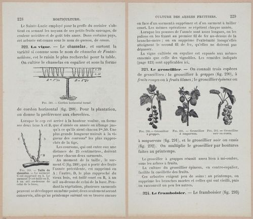 &nbsp;E694 - D'Agriculture - i6247-6248