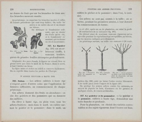 &nbsp;E694 - D'Agriculture - i6249-6250