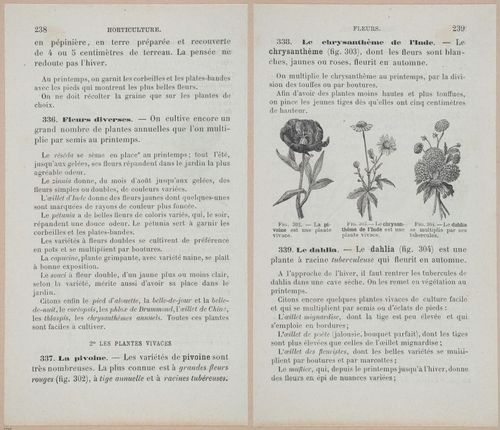 &nbsp;E694 - D'Agriculture - i6257-6258