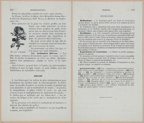 &nbsp;E694 - D'Agriculture - i6261-6262