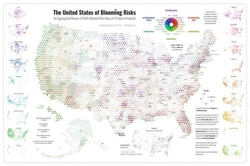 The United States of Blooming Risks - Dan Scollon