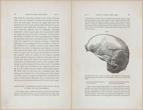 E624 - Charles Lyell - 0397-0398