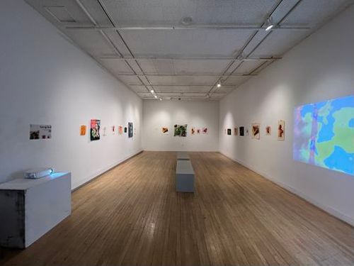 Tangled Full Exhibition