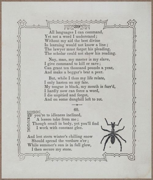 E730 - Picture Riddler - 1854 - 9090