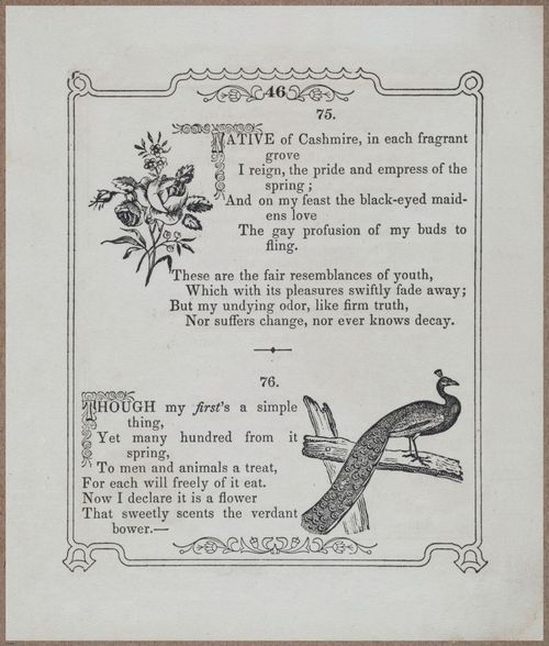 E730 - Picture Riddler - 1854 - 9097