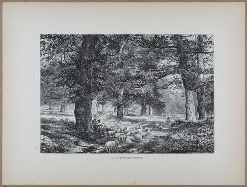 E731 - Pict Eur V1 - i9564