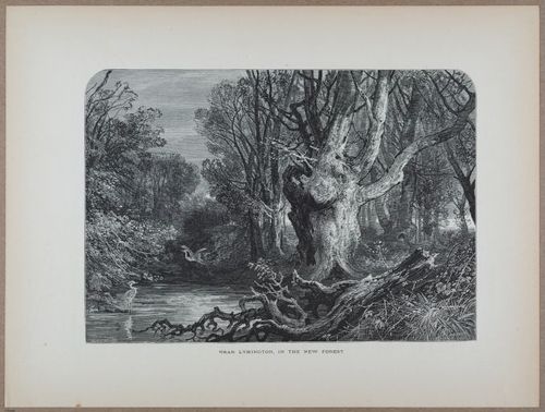 E731 - Pict Eur V1 - i9568