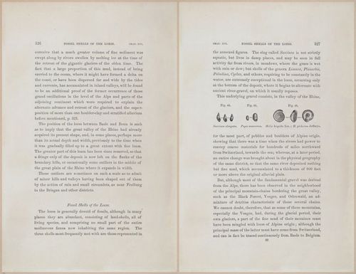 E624 - Charles Lyell - 10664-10665