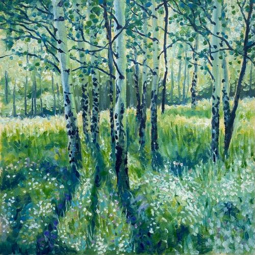 Aspen Shadow