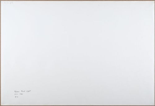 E205 - Big Paper Collection - 9982