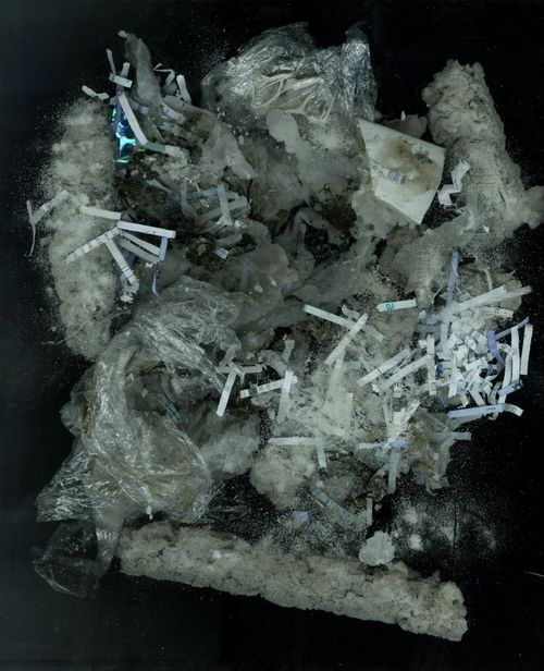 Collapse and Conception, 2025
