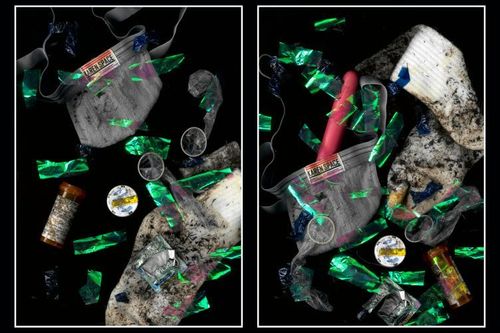Remnants, 2024