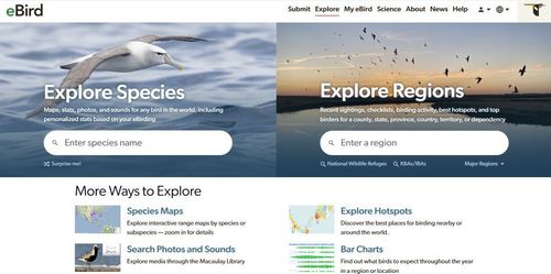 eBird: Explore - Travis Carroll