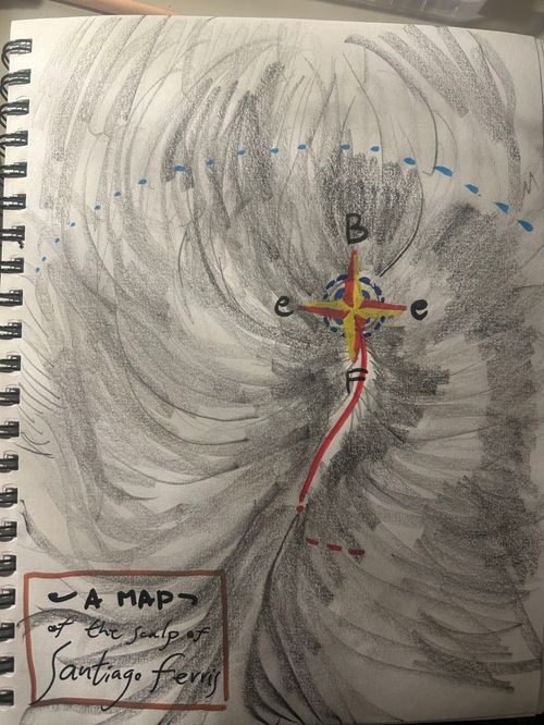 Santiago Ferris - A map of my scalp