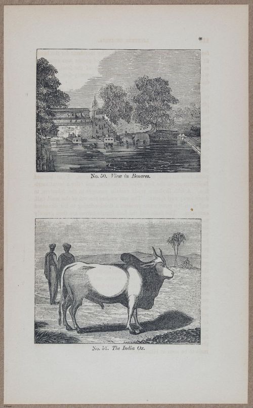 E783 - India Inhabitants - i11896
