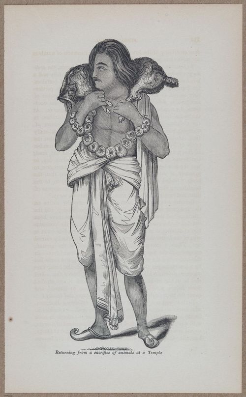 E783 - India Inhabitants - i11920
