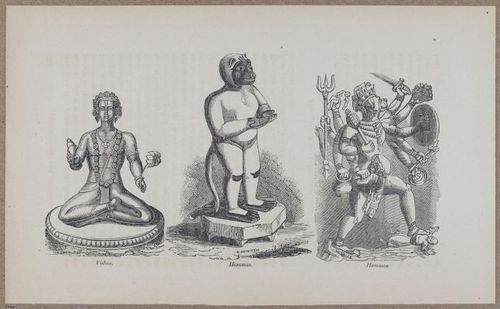 E783 - India Inhabitants - i11926