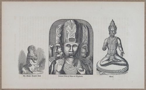 E783 - India Inhabitants - i11928