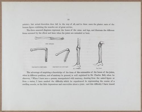 E790 - Progressive Drawing - i12294