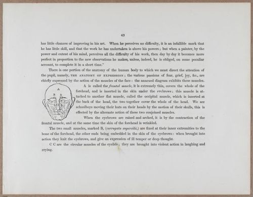 E790 - Progressive Drawing - i12298