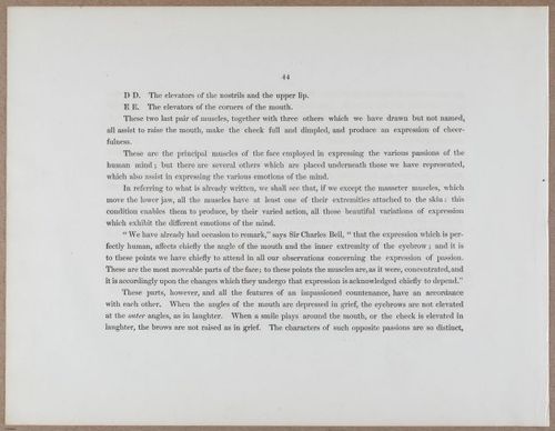 E790 - Progressive Drawing - i12299