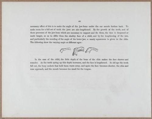 E790 - Progressive Drawing - i12303