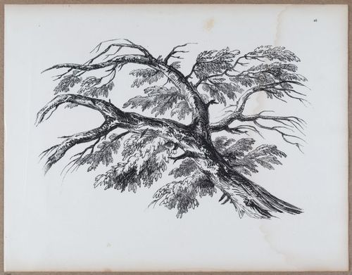 E790 - Progressive Drawing - i12359