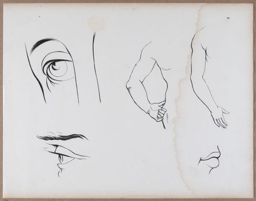 E790 - Progressive Drawing - i12373