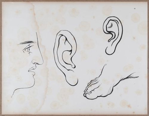 E790 - Progressive Drawing - i12374